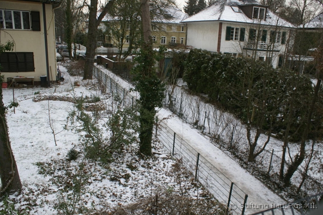 DSC06982a.jpg