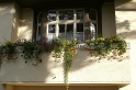 15_Blumenkästen