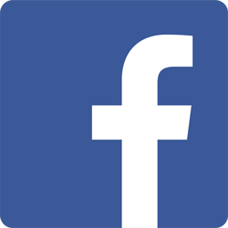 zur Facebook-Seite der Stiftung Haus Pius XII