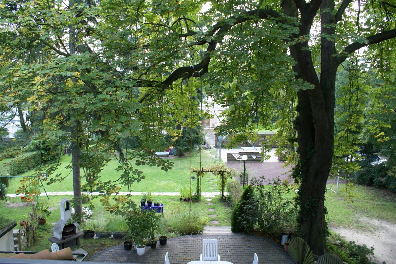 Der Garten von der Terrasse aus